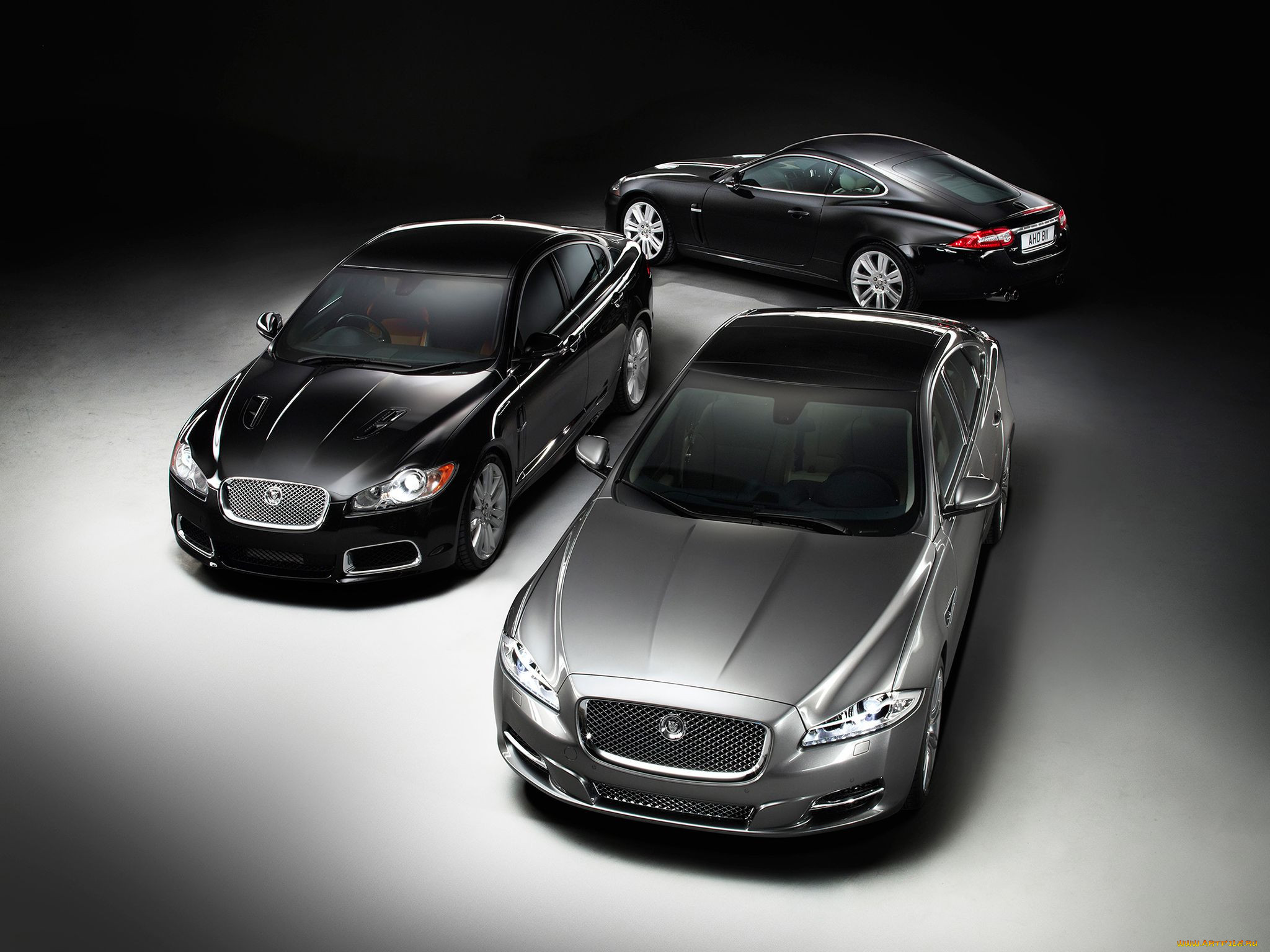 , jaguar